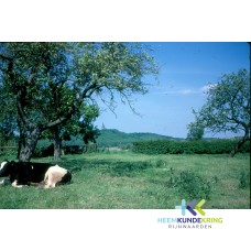 Omgeving `Hof Zum Walde` F00002201